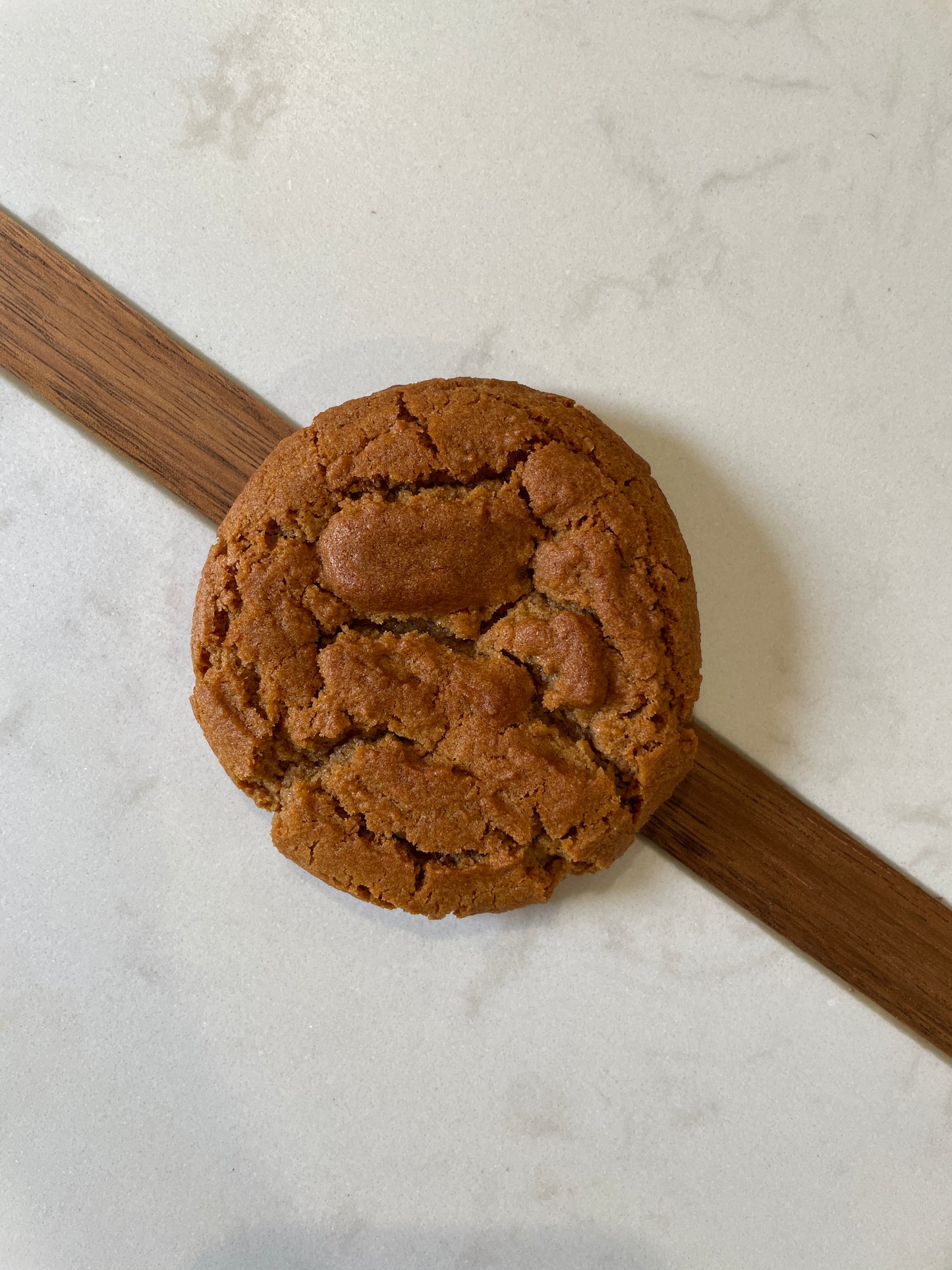 Cookies - Ginger Snaps (GF/DF)